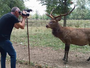 porodično poljoprivredno gazdinstvo “jelen” – turistički biser živinica i tk