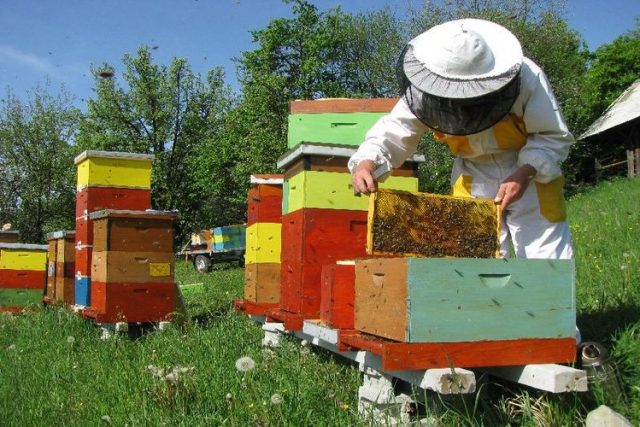 nagrade za pčelare udruženja “vrijesak” živinice