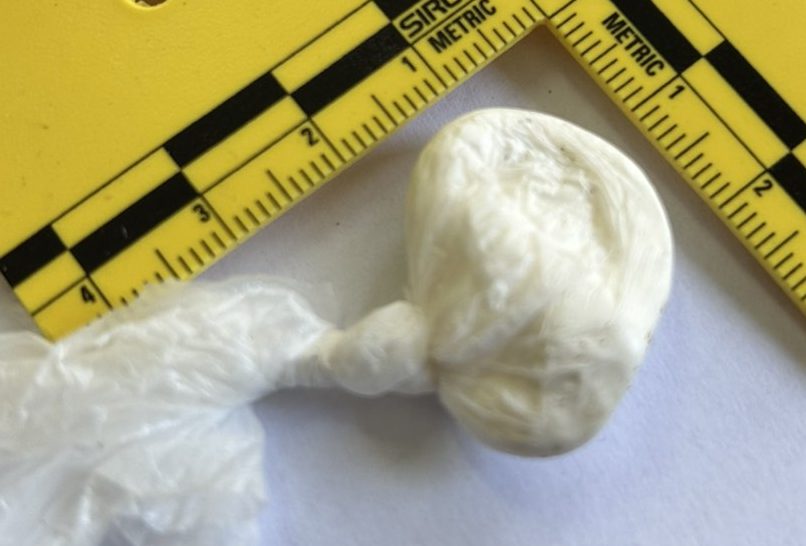 u policijskoj akciji u tk zaplijenjena velika količina opojnih droga i automobil (foto)