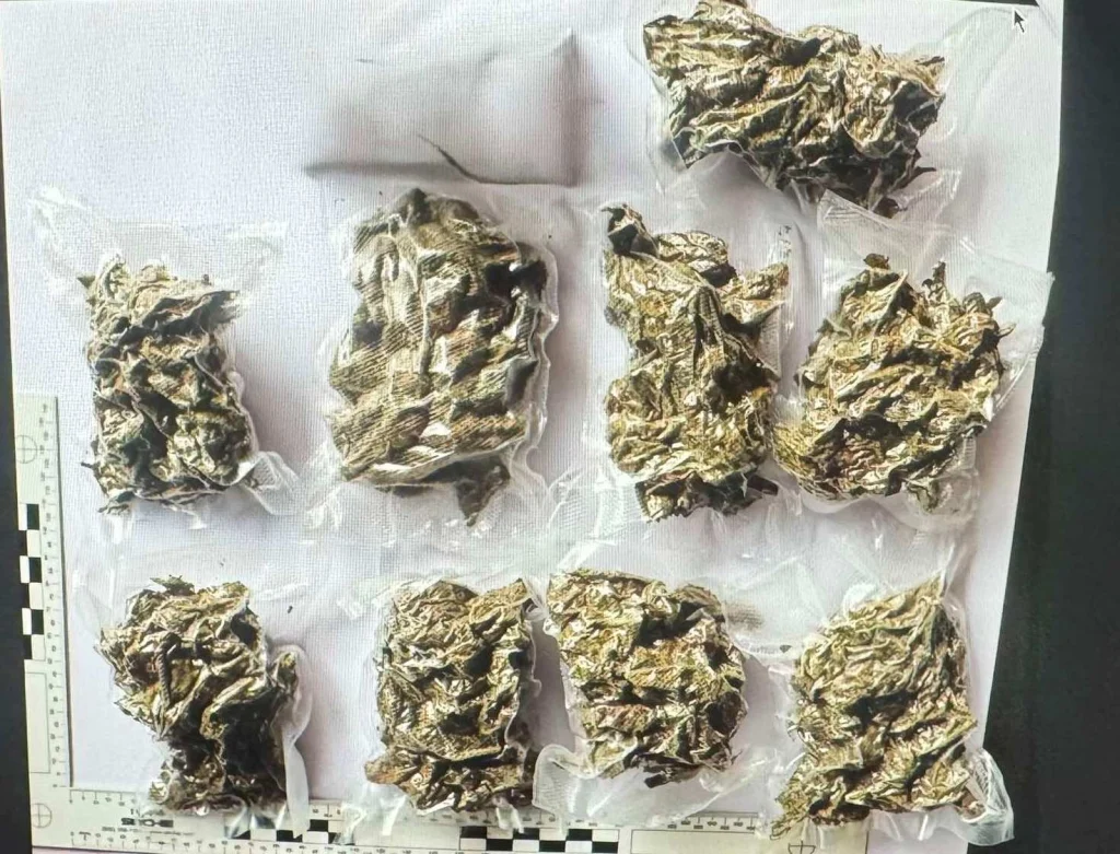 U akciji MUP-a TK zaplijenjene opojne droge, uhapšene četiri osobe (FOTO) U akciji MUP-a TK zaplijenjene opojne droge, uhapšene četiri osobe (FOTO)