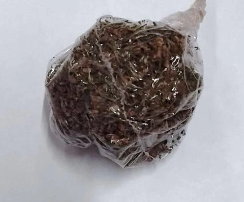 Policija TK u akciji: Pronađene opojne droge, izdato 28 prekršajnih naloga Policija TK u akciji: Pronađene opojne droge, izdato 28 prekršajnih naloga