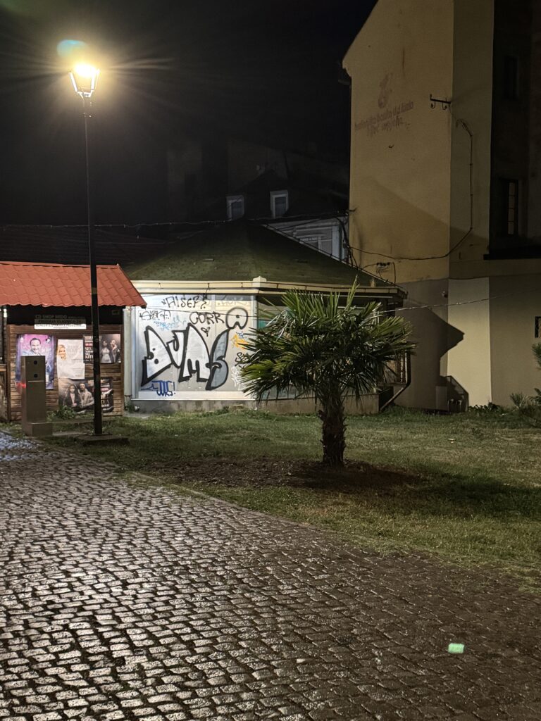 Palme uljepšale Korzo i gradski park u Tuzli Palme uljepšale Korzo i gradski park u Tuzli