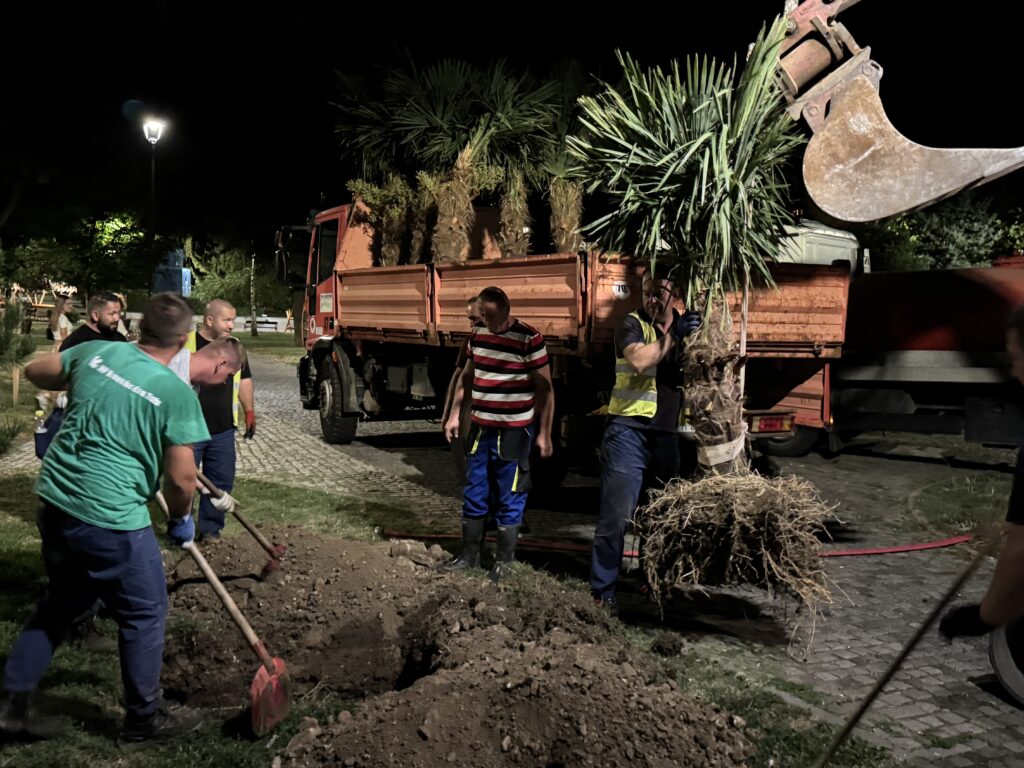 Palme uljepšale Korzo i gradski park u Tuzli Palme uljepšale Korzo i gradski park u Tuzli